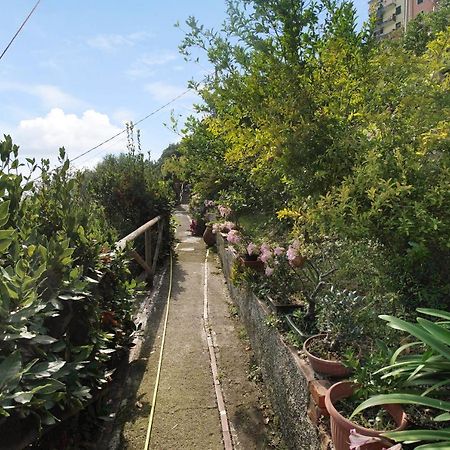 Villa Lardarina Corniglia Eksteriør billede