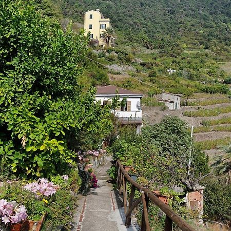 Villa Lardarina Corniglia Eksteriør billede
