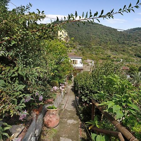 Villa Lardarina Corniglia Eksteriør billede