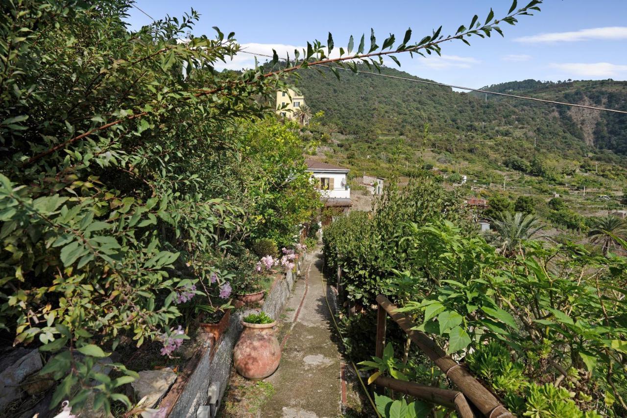 Villa Lardarina Corniglia Eksteriør billede